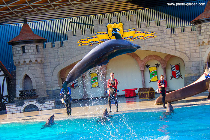 Дельфинарий