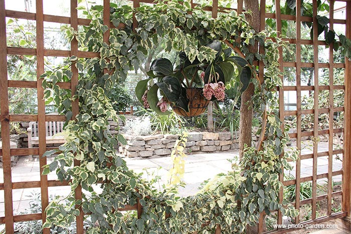 Засвеченная фотография