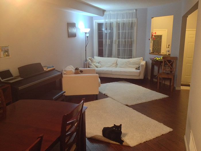 Деревянные полы в гостиной