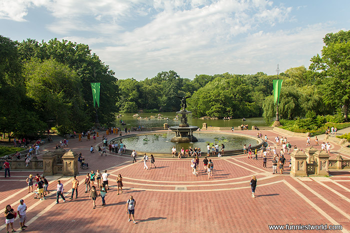 Центральный парк