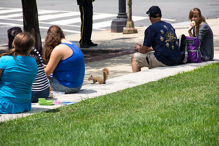 белка в центре Вашингтона