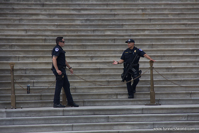 американская полиция